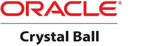 Oracle社 米国テキサス州